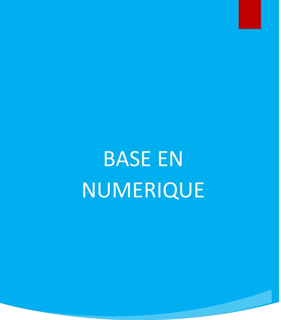 LES BASES DU NUMERIQUE