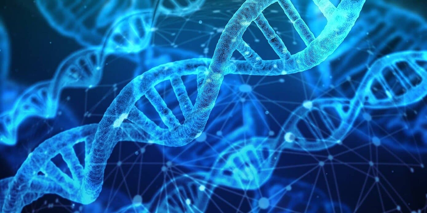 Biophysique 1 — 1re année